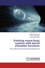 Evolving neuro-fuzzy systems with kernel activation functions