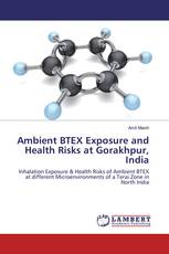 Ambient BTEX Exposure and Health Risks at Gorakhpur, India