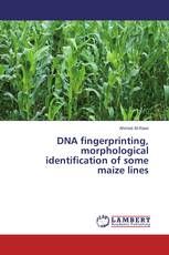 DNA fingerprinting, morphological identification of some maize lines