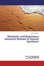 Metabolic and Regulatory Networks Related to Nodule Symbiosis