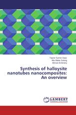 Synthesis of halloysite nanotubes nanocomposites: An overview