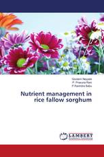 Nutrient management in rice fallow sorghum
