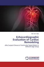 Echocardiographic Evaluation of Cardiac Remodeling