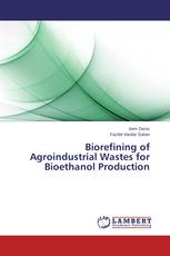 Biorefining of Agroindustrial Wastes for Bioethanol Production
