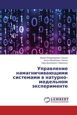 Управление намагничивающими системами в натурно-модельном эксперименте