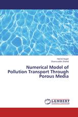Numerical Model of Pollution Transport Through Porous Media
