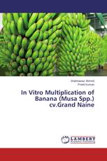 In Vitro Multiplication of Banana (Musa Spp.) cv.Grand Naine