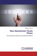 Non-Newtonian Fluids Flows