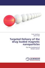 Targeted Delivery of the drug loaded magnetic nanoparticles