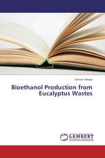 Bioethanol Production from Eucalyptus Wastes