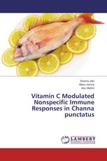 Vitamin C Modulated Nonspecific Immune Responses in Channa punctatus
