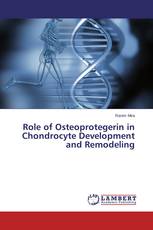 Role of Osteoprotegerin in Chondrocyte Development and Remodeling