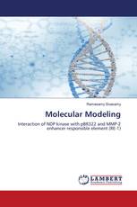 Molecular Modeling