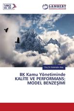 BK Kamu Yönetiminde KALİTE VE PERFORMANS: MODEL BENZEŞİMİ