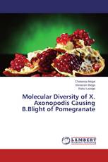 Molecular Diversity of X. Axonopodis Causing B.Blight of Pomegranate
