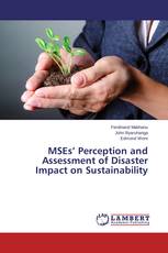 MSEs’ Perception and Assessment of Disaster Impact on Sustainability