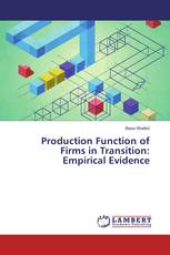 Production Function of Firms in Transition: Empirical Evidence
