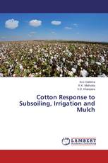 Cotton Response to Subsoiling, Irrigation and Mulch