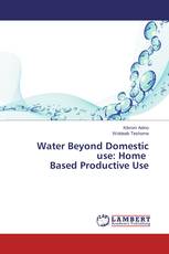 Water Beyond Domestic use: Home Based Productive Use