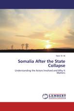 Somalia After the State Collapse