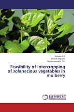 Feasibility of intercropping of solanacious vegetables in mulberry