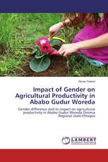 Impact of Gender on Agricultural Productivity in Ababo Gudur Woreda