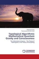 Topological Algorithmic Mathematical Quantum Gravity and Consciousness