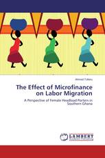 The Effect of Microfinance on Labor Migration