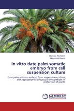 In vitro date palm somatic embryo from cell suspension culture