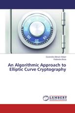 An Algorithmic Approach to Elliptic Curve Cryptography
