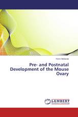 Pre- and Postnatal Development of the Mouse Ovary