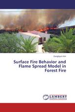 Surface Fire Behavior and Flame Spread Model in Forest Fire