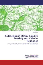 Extracellular Matrix Rigidity Sensing and Cellular Response