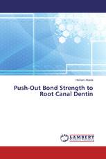 Push-Out Bond Strength to Root Canal Dentin