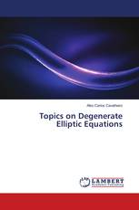 Topics on Degenerate Elliptic Equations