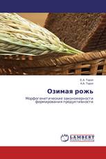 Озимая рожь