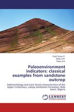 Paleoenvironment indicators: classical examples from sandstone outcrop