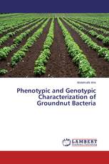 Phenotypic and Genotypic Characterization of Groundnut Bacteria