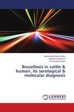 Brucellosis in cattle & human, its serological & molecular diagnosis