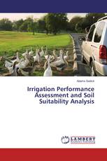 Irrigation Performance Assessment and Soil Suitability Analysis