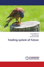 Feeding system of Falcon