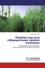 Подбор пар для гибридизации яровой пшеницы