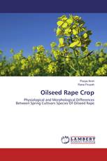 Oilseed Rape Crop
