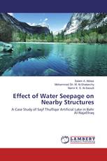 Effect of Water Seepage on Nearby Structures