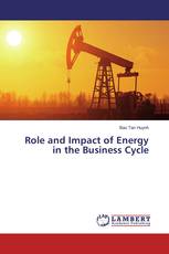 Role and Impact of Energy in the Business Cycle