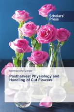 Postharvest Physiology and Handling of Cut Flowers