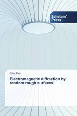 Electromagnetic diffraction by random rough surfaces