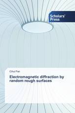 Electromagnetic diffraction by random rough surfaces