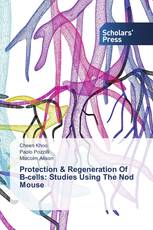 Protection & Regeneration Of Β-cells: Studies Using The Nod Mouse