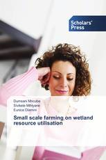 Small scale farming on wetland resource utilisation